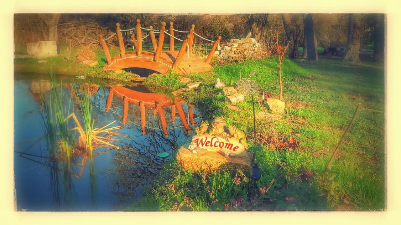 Rarumpelpunzeldornaschenwittchen Bed & Breakfast